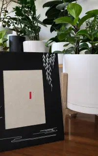 قاب عکس