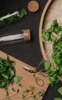 سبزی آماده