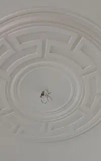 گچکاری و ابزار