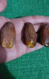 خرما مجول تازه درجه یک