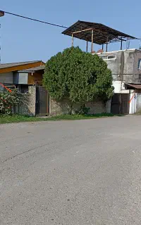 مشارکت ویلا ساحلی200متری پلاک دوم ساحل چالوس
