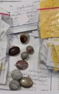 توسط سادات موسوی تضمینی