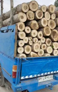 خریدار انواع چوب الات