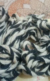 چپی