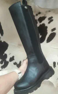 بوت جذب‌ بقل استرج