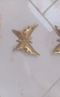 پروانه برنز