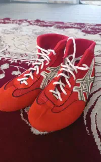 کفش کشتی