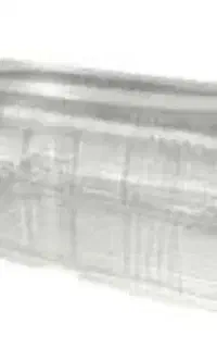 ظرف یکبار مصرف