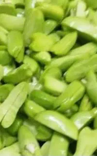 باقالی سبز‌و‌خوش پخت