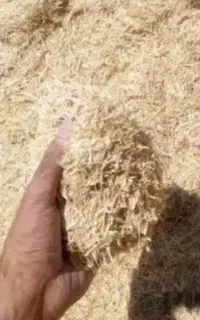 کاه درجه۱