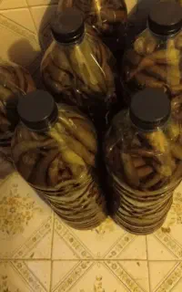 ترشی فلفل خوشمزه