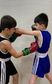 آموزش بوکس به صورت تخصصی