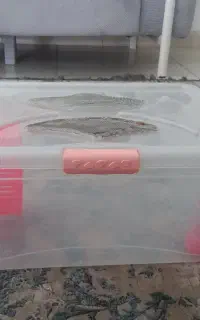 قفس همستر