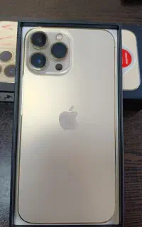 13 pro max