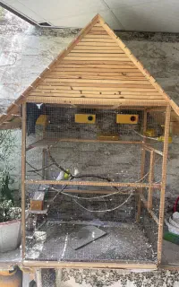 قفس چوبی