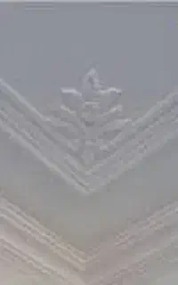 گچ کاری،کناف و نقاشی ساختمان