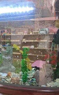 مربی مهدکودک