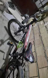 دوچرخه