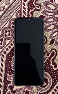 Y6 s 2019