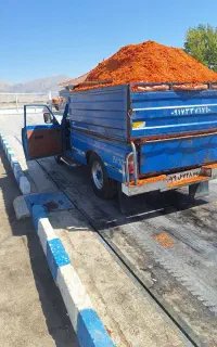 خوراک دام