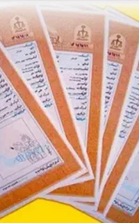 ضامن