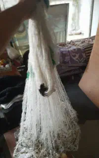 فروش لوازم ماهیگیری