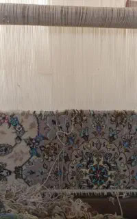 قالی ۶ متری پشم و ابریشم