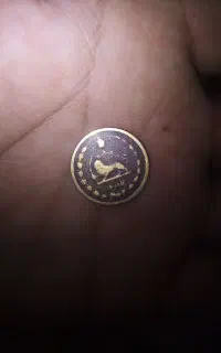 سکه پنجاه دیناری تسبیح دانه خرما وحشی اصلی
