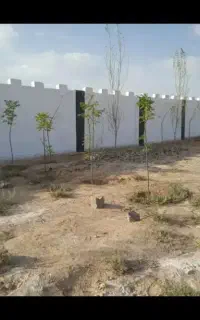 بنایی صفر تا صد پیشوا ورامین