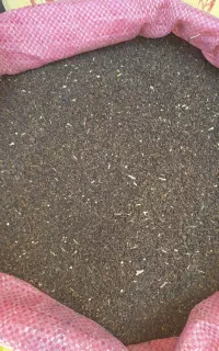 اسپندکیلو ۹۰