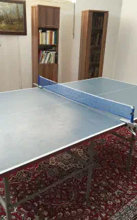 میز پینگ پنگ نیک اسپورت