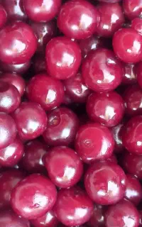 آلبالو رسمی سیب گلاب آلو قطره طلا