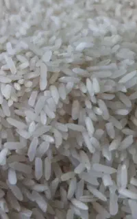 برنج سفید پاکستانی بسیار مرغوب