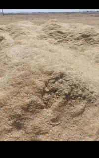 کاه جوکاه کوب
