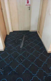 نصاب.نصب انواع موکت های ساده وپالاز،کاغذدیواری