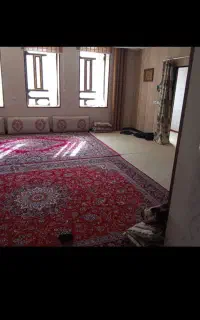 قالی تمام نخ بدون پلاستیک ۲ عدد