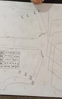 الگو اماده فری سایز