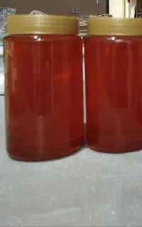 عسل نمدار