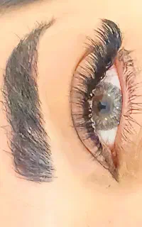 مدل اکستنشن