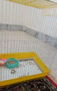 قفس پرنده