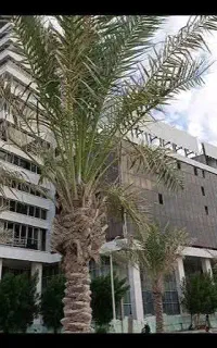 مجتمع تجاری خورشید