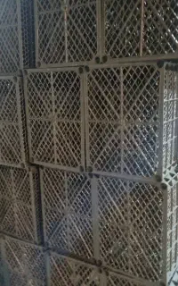 استخدام ۶ نفر در سبد سازی