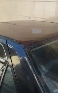 فروش فودی