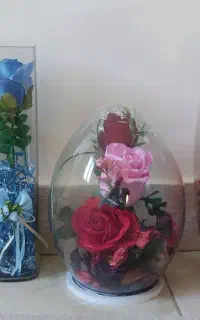 کادویی