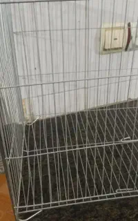 قفس بزرگ سهره و قناری