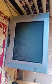 تلویزیون واینه