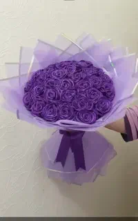 رز بنفش