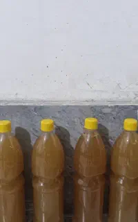 آبغوره امسال بدون نمک