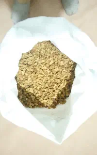 توت سف