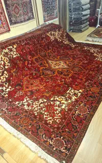 قالی ۱۲متری هریس تمام رنگ گیاهی